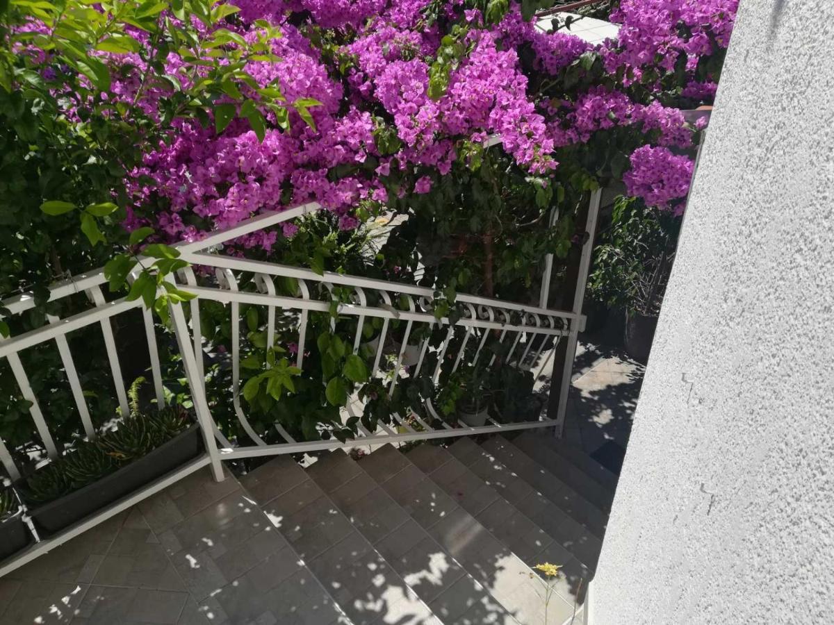 Hotel Dalmati House Brodarica  Zewnętrze zdjęcie