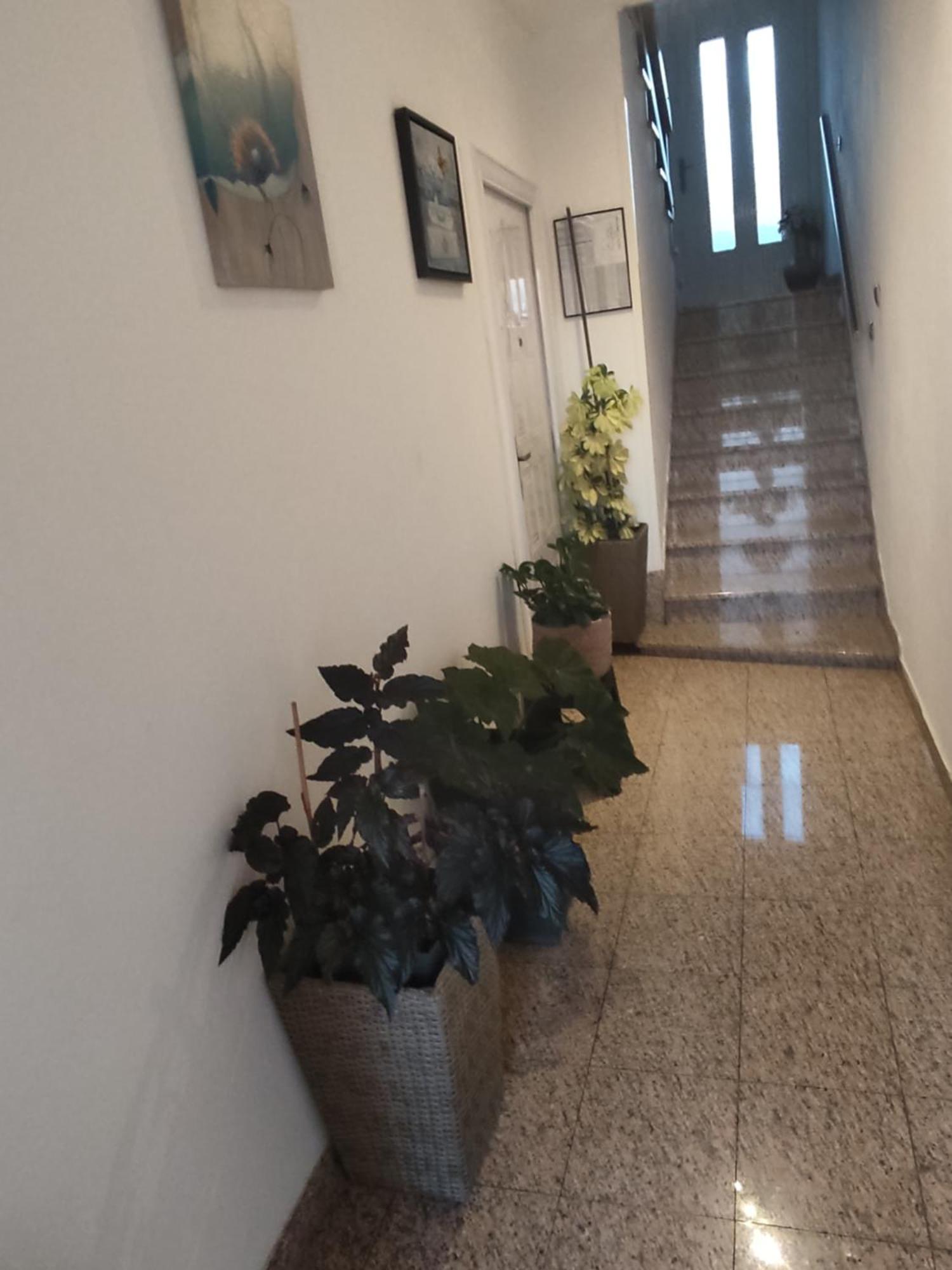 Hotel Dalmati House Brodarica  Zewnętrze zdjęcie