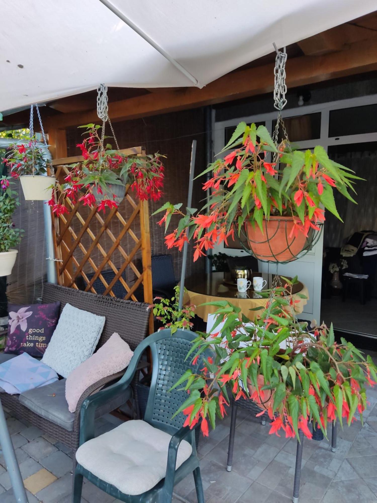 Hotel Dalmati House Brodarica  Zewnętrze zdjęcie